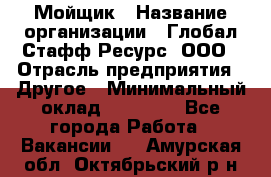 Мойщик › Название организации ­ Глобал Стафф Ресурс, ООО › Отрасль предприятия ­ Другое › Минимальный оклад ­ 30 000 - Все города Работа » Вакансии   . Амурская обл.,Октябрьский р-н